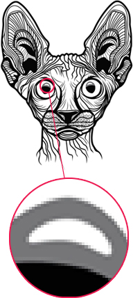 Illustration of a cat, as a bitmap file